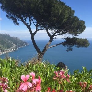 Meet your Posher, Tonya